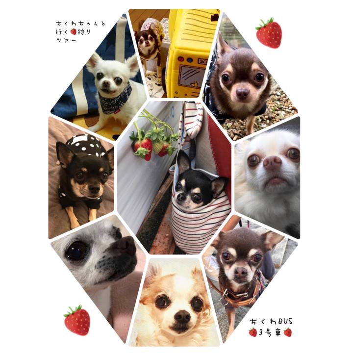 Bb5822b5 149f 4627 b2f8 e340fe34de78 1539695691083