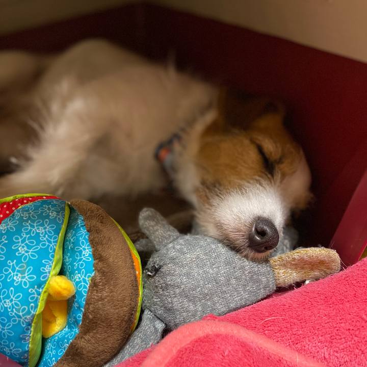 Bb5849ff fb96 4e54 822d 28344e8f3f4d 1707657451530