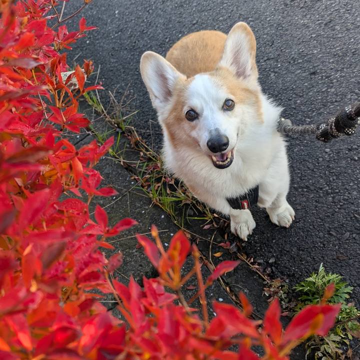 Bb58a4c9 c1a8 41aa 9f23 970efa405fa6 1764124854512