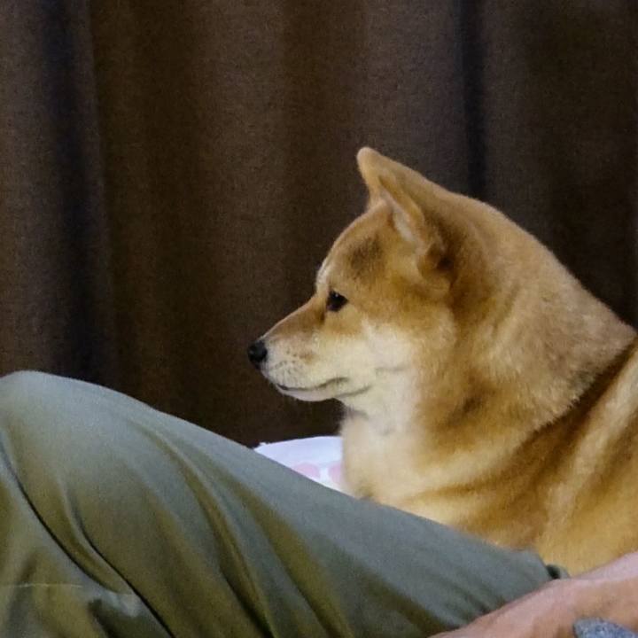 Bb58d7d6 8ddd 450a 8a69 06e1f319ba7a 1654171086057