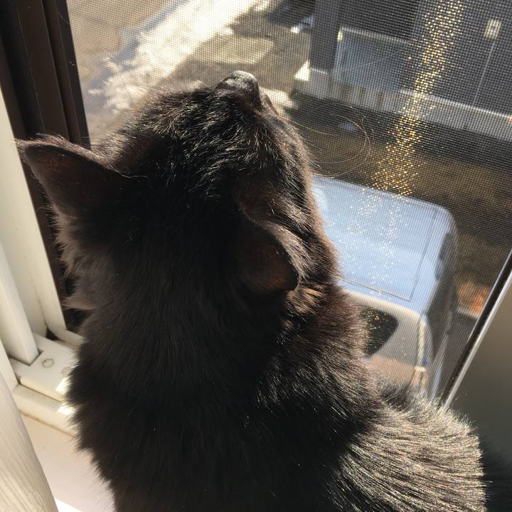 Bb58dfdd ce90 498f beda 353d729770e8 1522105916427