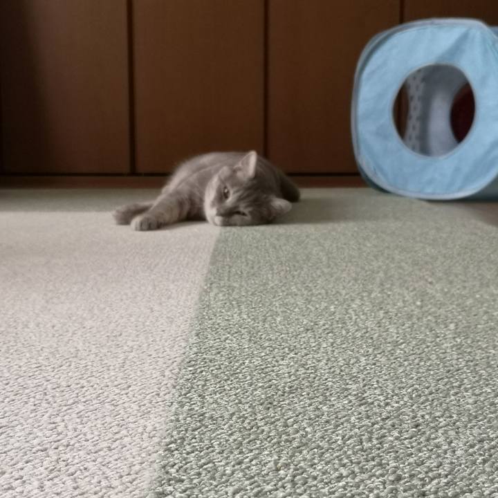 Bb592740 5737 45c0 9a87 170ccbe582da 1592539520804