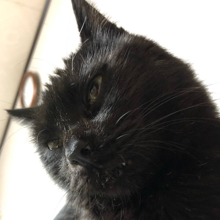 Bb5930aa 452c 4b2a a0e3 3b54422e9b79 1592311234757