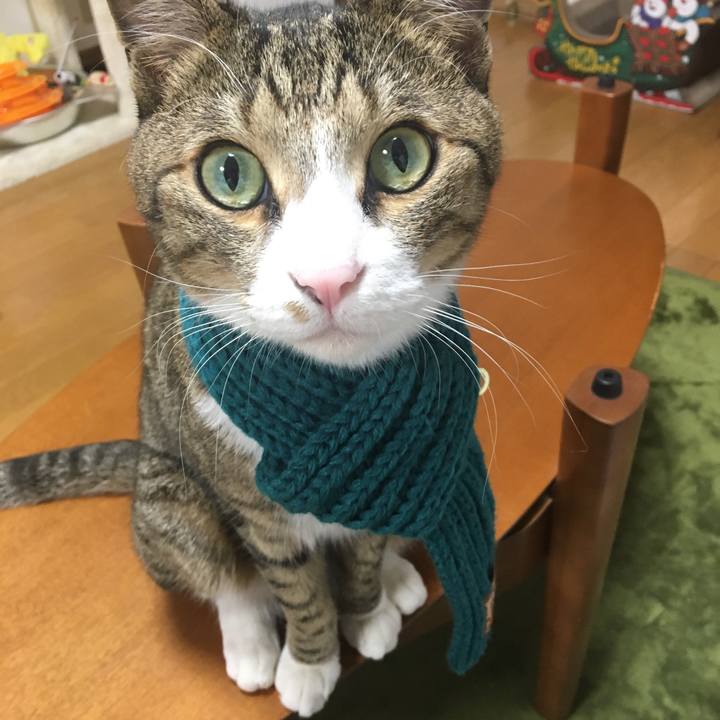 Bb5936fb 514e 4482 8a90 2177f34aca99 1703214003050