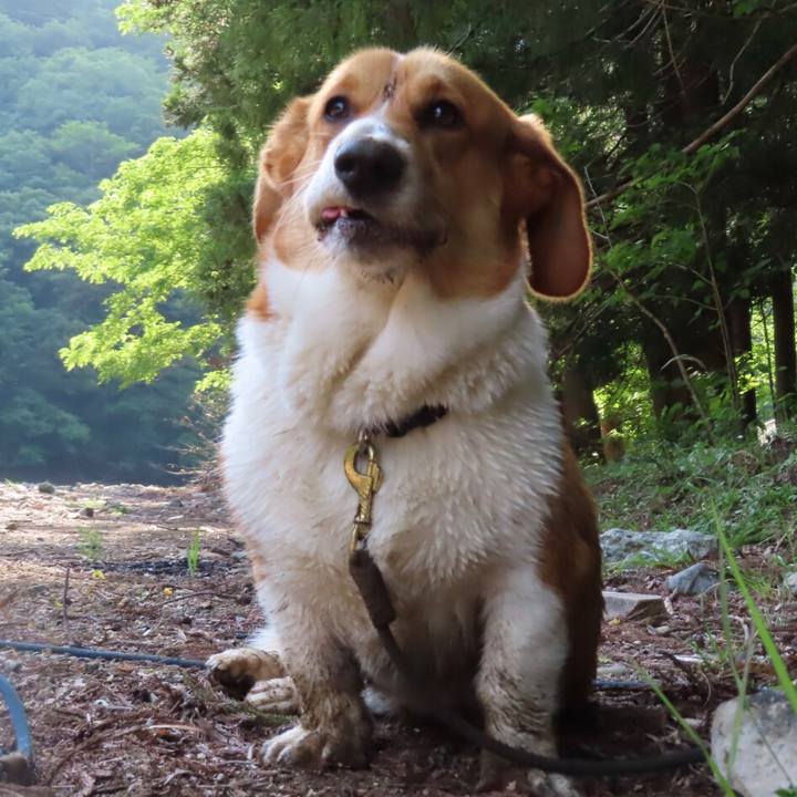 Bb5951fd ec0c 4793 a097 dc60a1782ce8 1622334788091