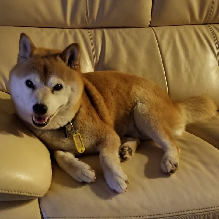 Bb596417 1aac 40a7 a6ed 496538fb2471 1624793991105