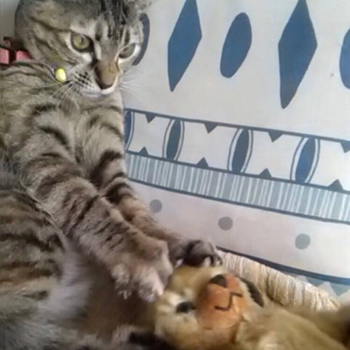 Bb59abcd 5e5b 49e2 a25b 3068a1734fd6 1666011674264