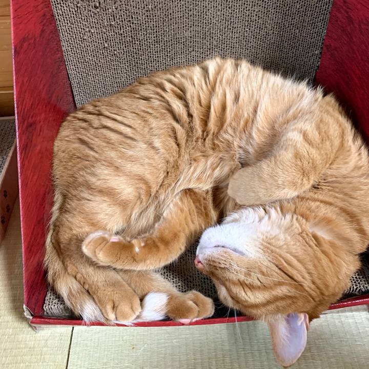 Bb5a0518 03ac 44ca bc2e becb72a101c5 1595666531600