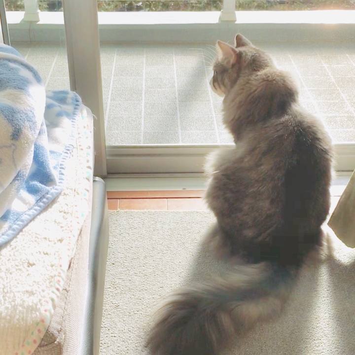 Bb5a0618 0ef8 446c 8b03 07432ef93f61 1551408852633