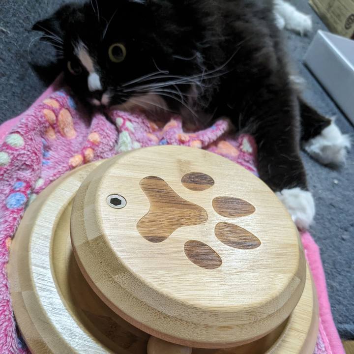 Bb5a326b 1373 4e39 b87c d7764504a71e 1714691917412