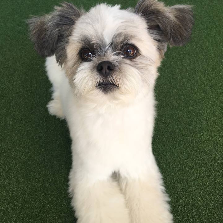 Bb5a7436 2467 41e1 807f 7f2256ca23b1 1538103188342