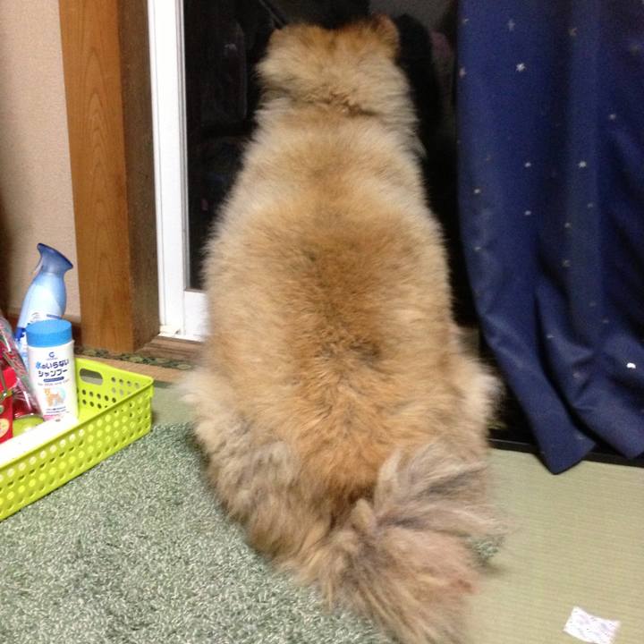 Bb5a7d32 d7b6 4cac b72c 433066d78387 1583660284775