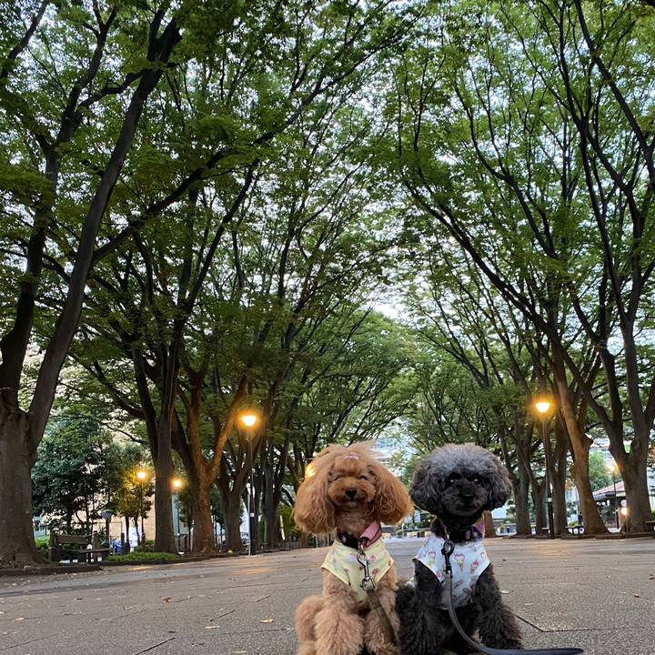 Bb5a7e4d 117a 4ad7 82af 51fbd1ac6fb5 1631574876528