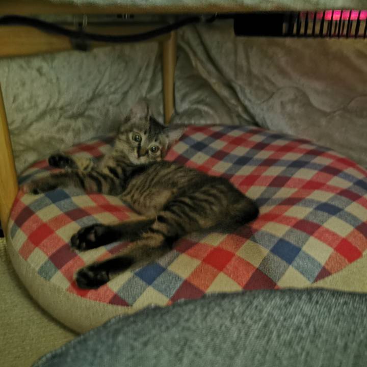 Bb5a8d23 c300 42b3 8e62 1786444834f1 1700192958793