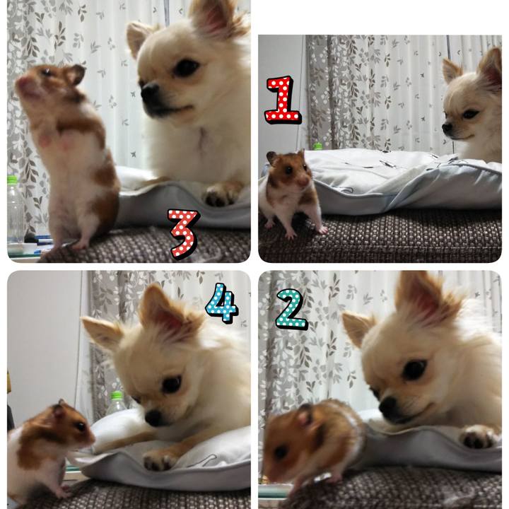 Bb5ad7a6 e609 4a90 9c4c 5d5668b0eed9 1593870822117