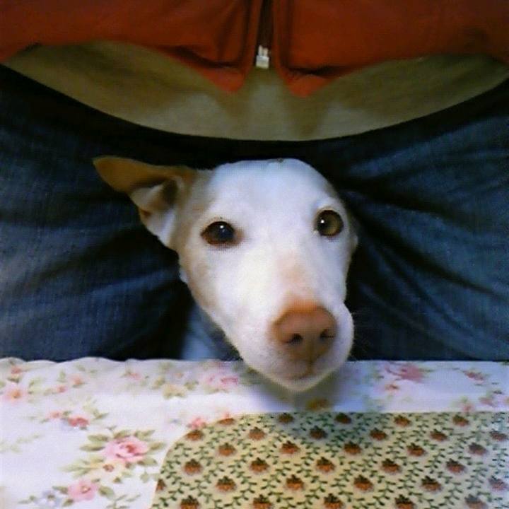 Bb5ada54 bf4f 453b b579 febd9101b6c6 1604593762105