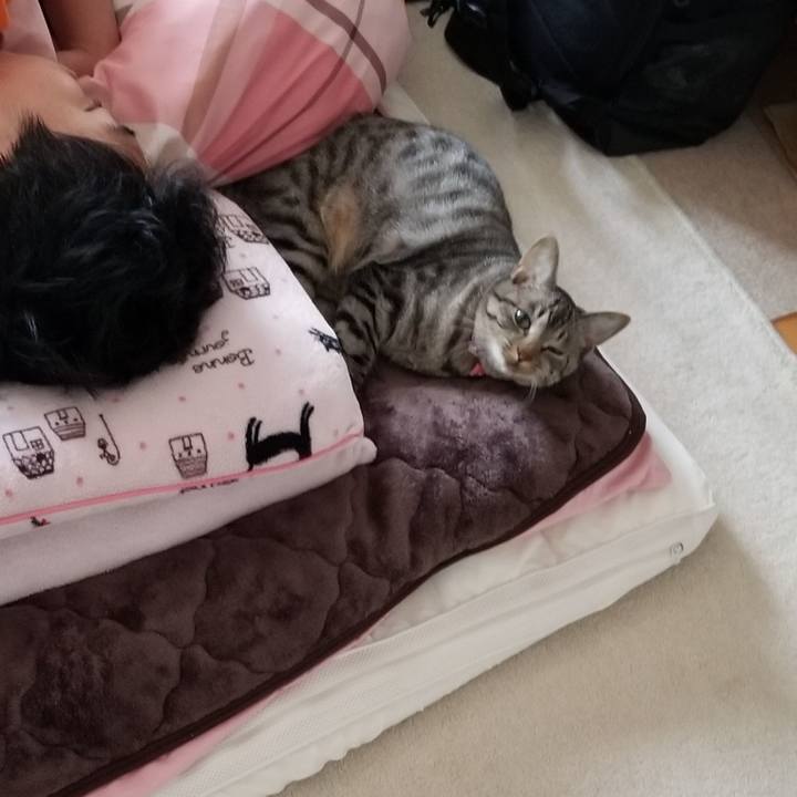 Bb5b0e72 0ece 4f8c 9566 4e12af871715 1685156651711