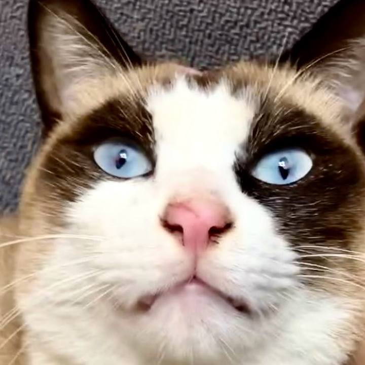 Bb5b312f 3c25 4c9d bebe 5cfcdbd209f6 1733021067686