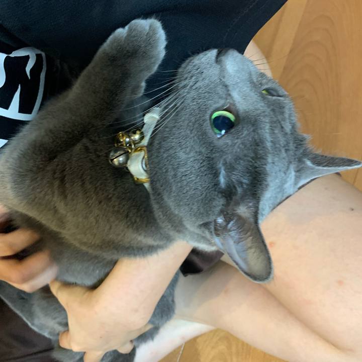 Bb5b54ae 3500 4703 8799 853ef85bd98e 1655985050369