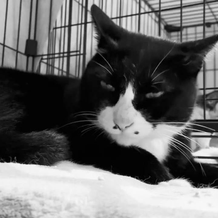 Bb5c1243 d45b 472b 9986 aa9f351b4e56 1745315429574