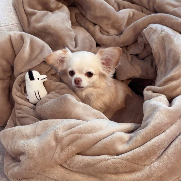 Bb5c1d16 47ef 4ebf 88cb a5a82ba9bde1 1736376369841