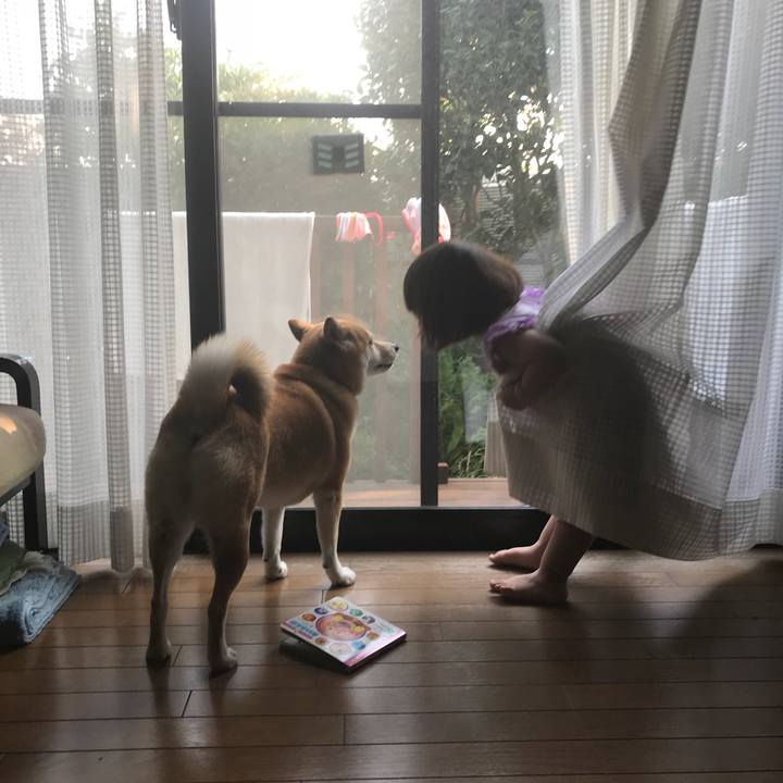 Bb5c1d58 4a63 420a a3ff 335506011945 1531574077881