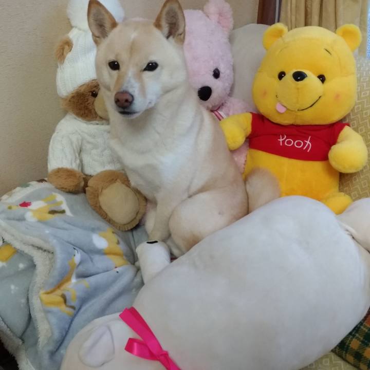 Bb5c2f95 f63f 4e03 a5cb 852843a2c221 1577083921836