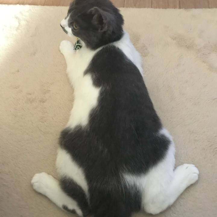 Bb5c7322 8217 4d41 8a60 ffc7c7efa5a1 1637466350357