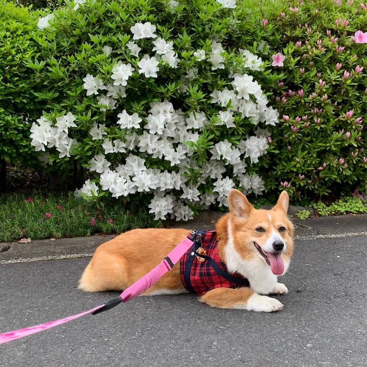 Bb5c8238 552b 4201 881d dae0d2e2d3e4 1650940646600