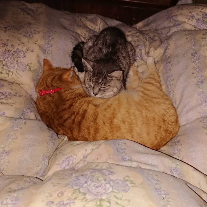 Bb5cc6cf 5856 4285 9f63 99b7c5ad8359 1579534987352