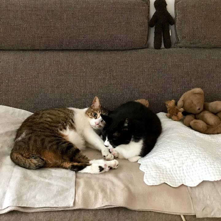 Bb5cee50 00d0 47b8 b971 760c2af49638 1521612359561