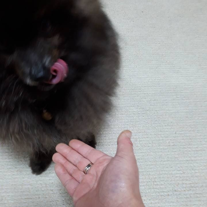 Bb5d3a80 704e 4241 bbdc 937b1a2b226b 1522013060524