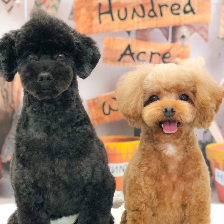 Bb5d65a7 da05 411b bfd9 5321a5c54da3 1663391200697