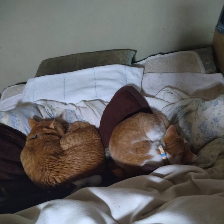 Bb5d74ab f75f 498b b408 d24a20857204 1732939181381