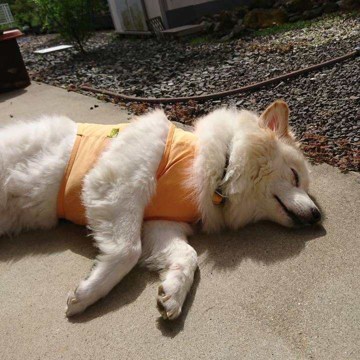 Bb5d8cf2 eda8 4440 9146 6f1a85138d93 1536713126694