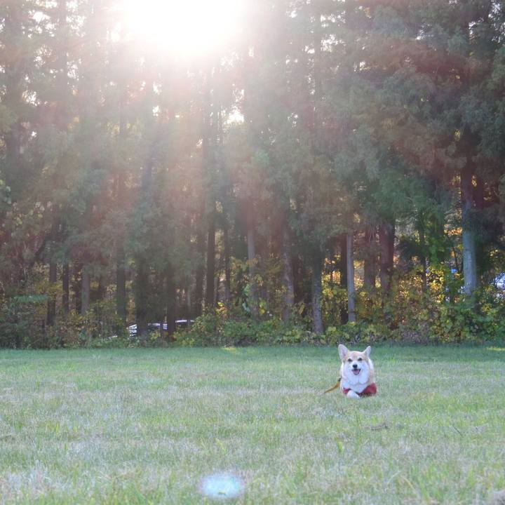 Bb5e60c4 13ca 4ba4 b59d 9d2827ef1cf7 1668837122041