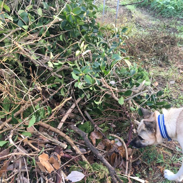 Bb5e8122 e9a0 4947 9691 90e9630947aa 1510569552238