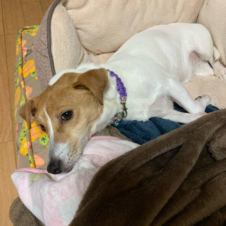 Bb5e9fff 439e 49ac 8e9e 09ff4f261dac 1576584433832