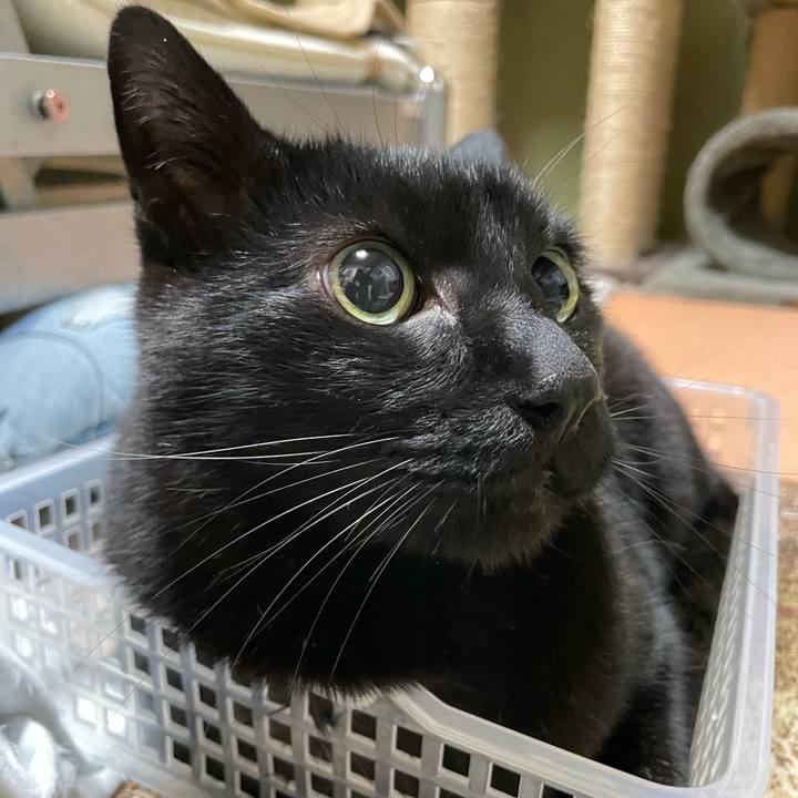 Bb5ee8b8 82b4 409e 9103 15bf8ba837dc 1647398016655