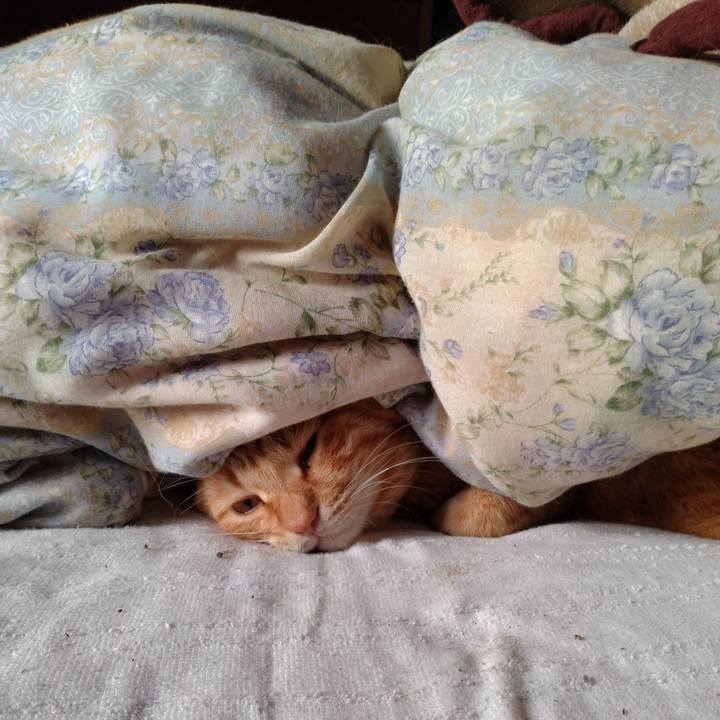 Bb5ef8ad ab41 4a83 a73b 9a0c5ca87319 1716675098051