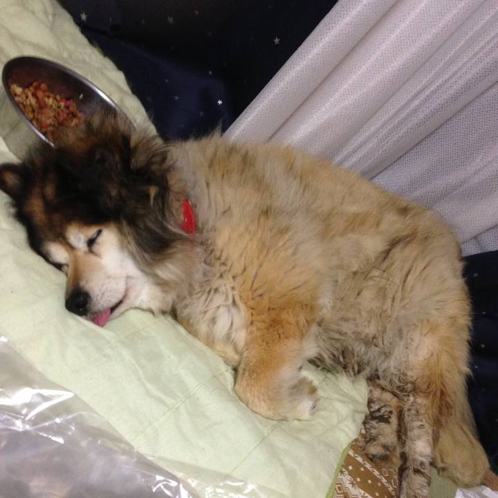 Bb5f01a9 84be 48a1 b00f d834e9a02759 1549026776267