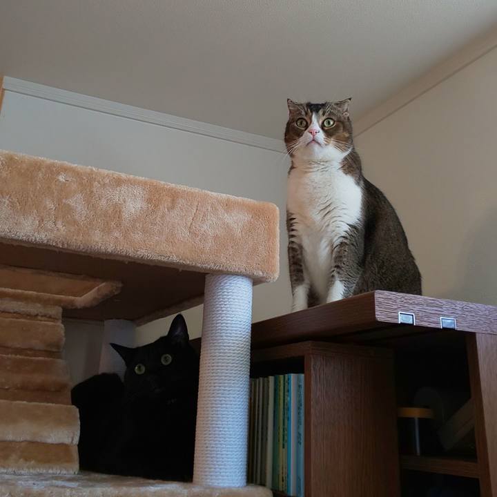 Bb5f359a 3352 4caf 8413 4ff4a35e90db 1568426913505