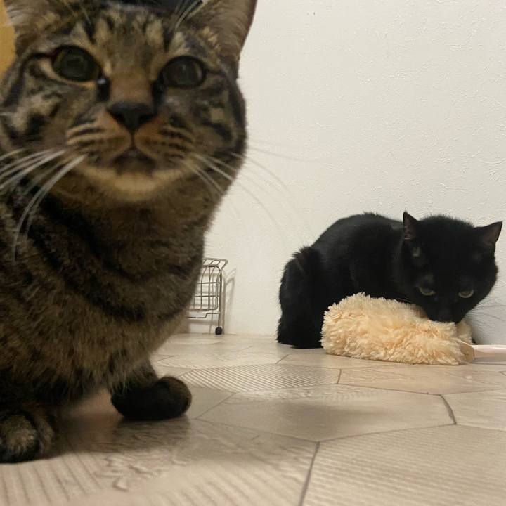 Bb5f5570 19b5 40f4 ade2 39b577b005dc 1634645810373