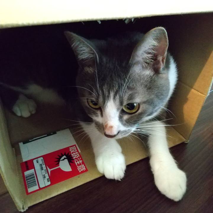 Bb5f6e98 361d 420e 8daa 985a4d40d5ed 1596064684107