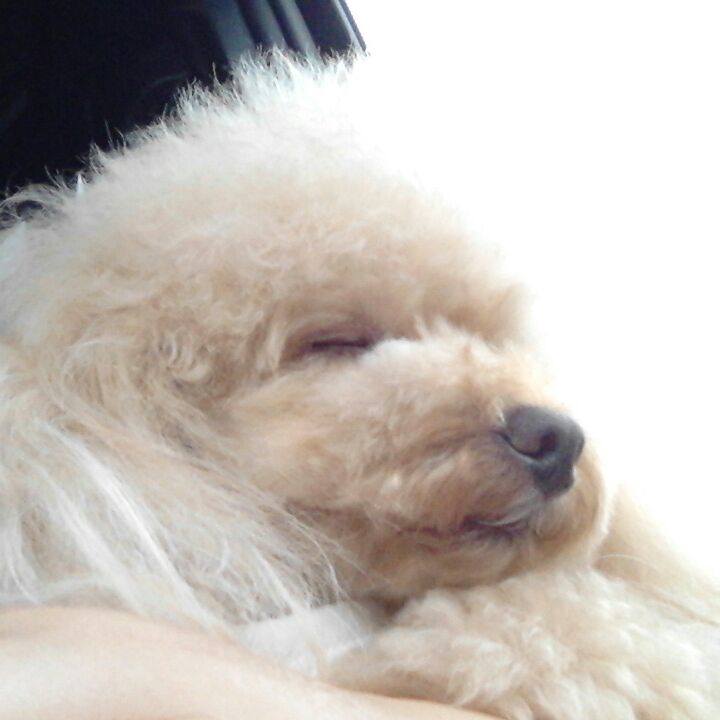 Bb5f7c13 cdd0 4863 a15b c51dc51904d1 1536493324934