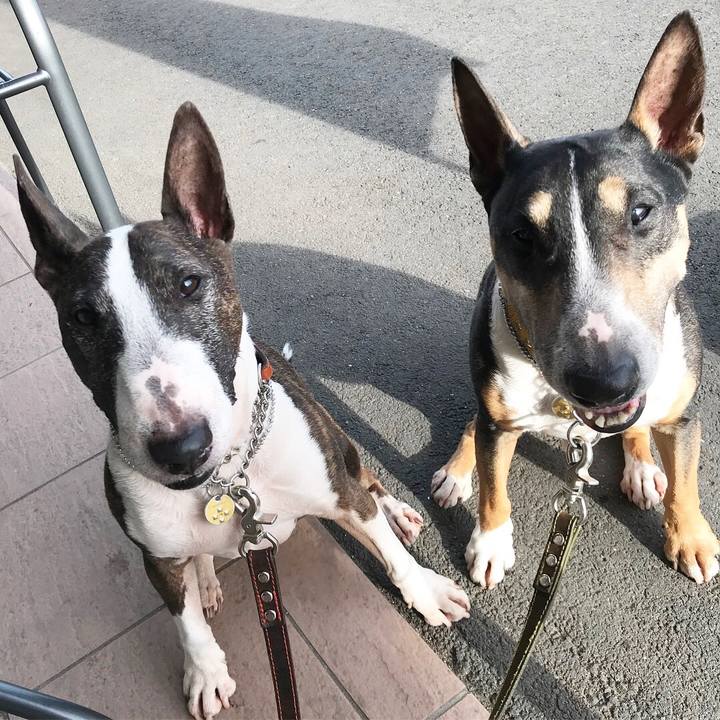 Bb5f8f93 80b3 4b40 92f0 2e91f9613363 1525597742132