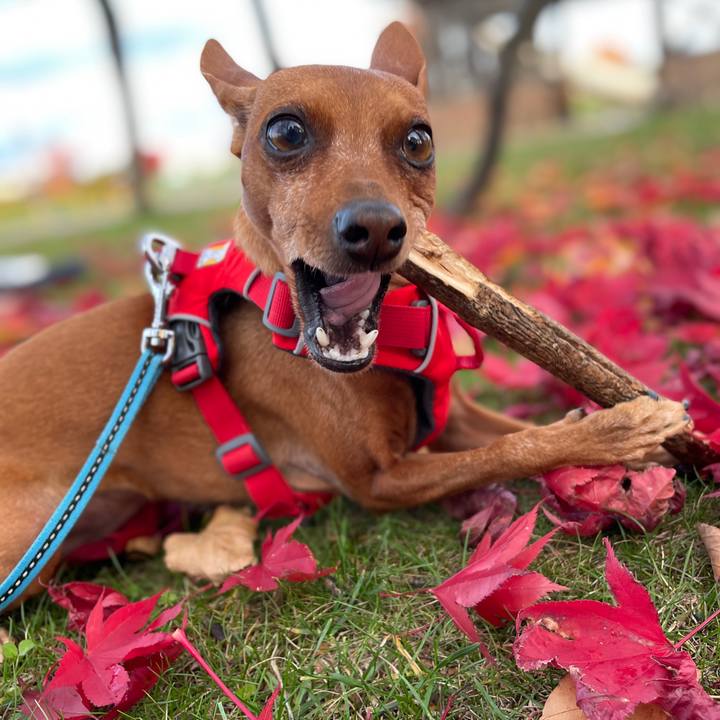 Bb5f91af ab50 446e 9925 d9a110b03f4e 1635330517823