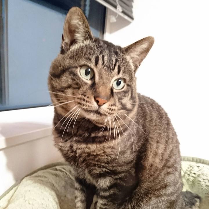 Bb5f9404 f226 4b3a 8537 549593284fc1 1508560618807