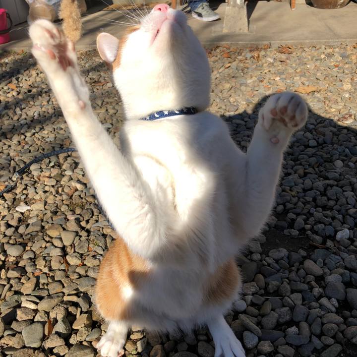 Bb5f9457 1595 41f8 ab72 83949d7a2248 1546247242968