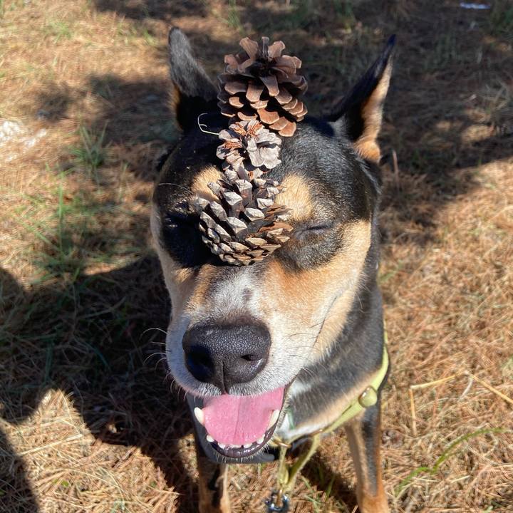 Bb5fa5f6 873b 4a64 b5a1 57939c23b356 1727401274942